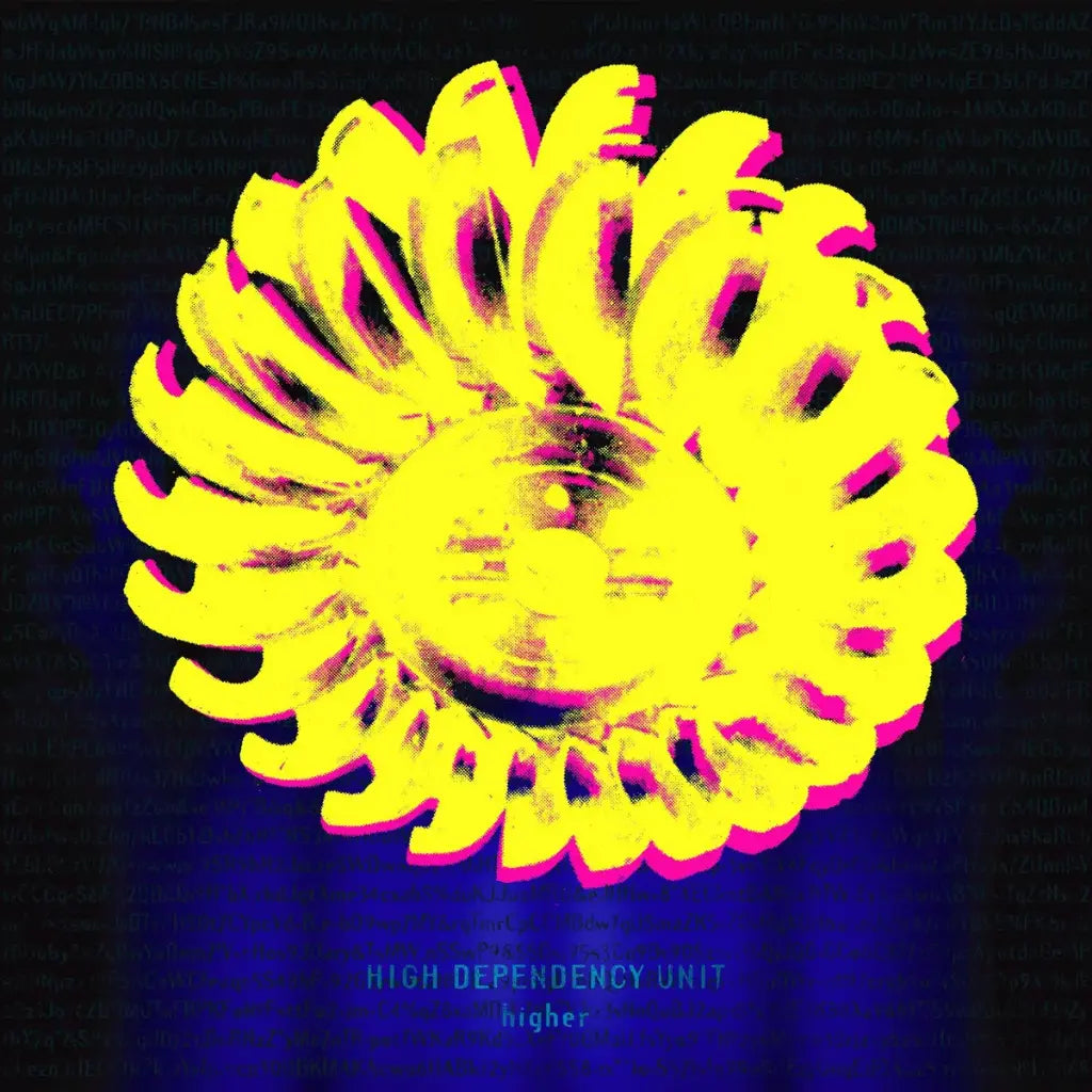 High Dependency Unit - Higher (2025 Reissue)