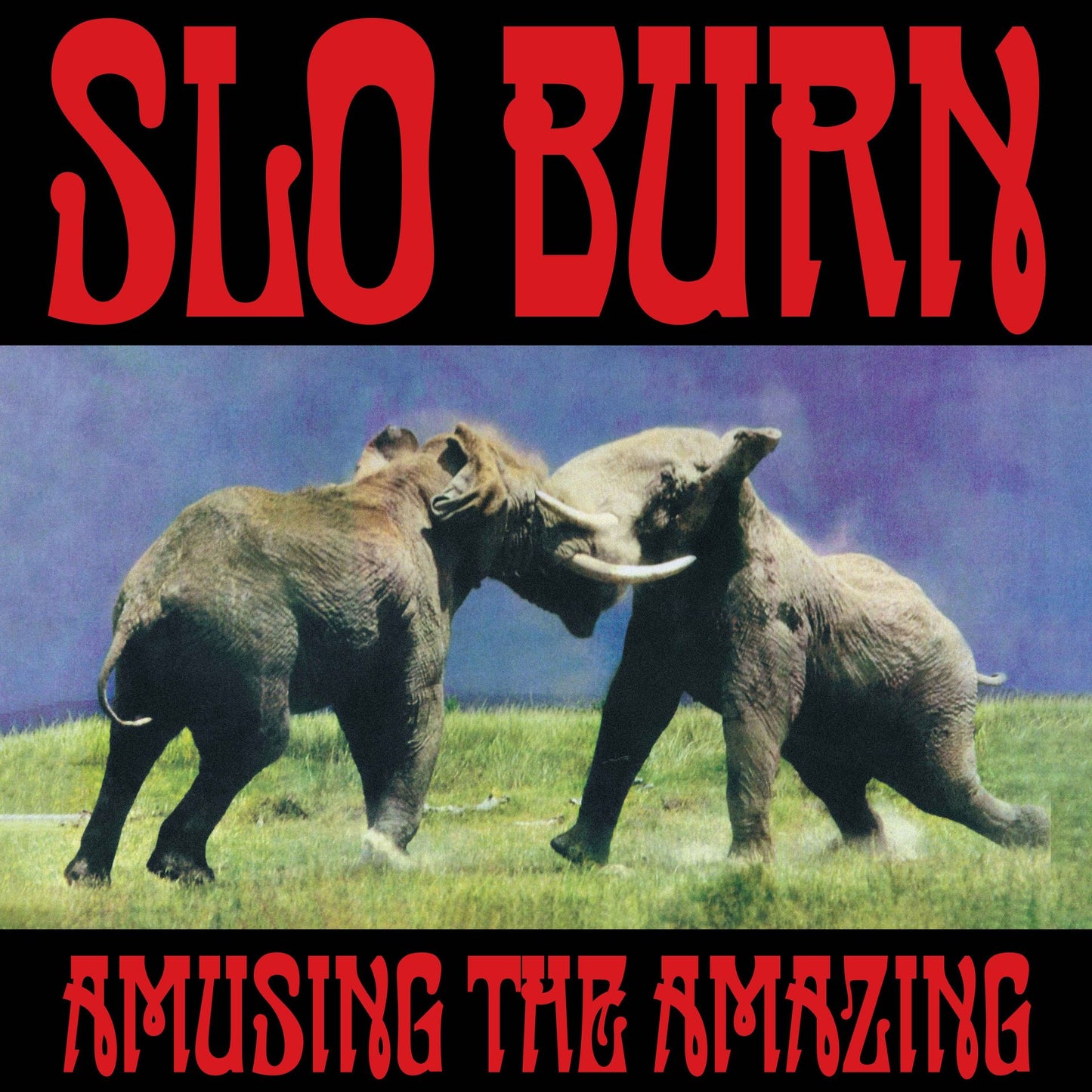 Slo Burn - Amusing the Amazing (Black Friday 2025)