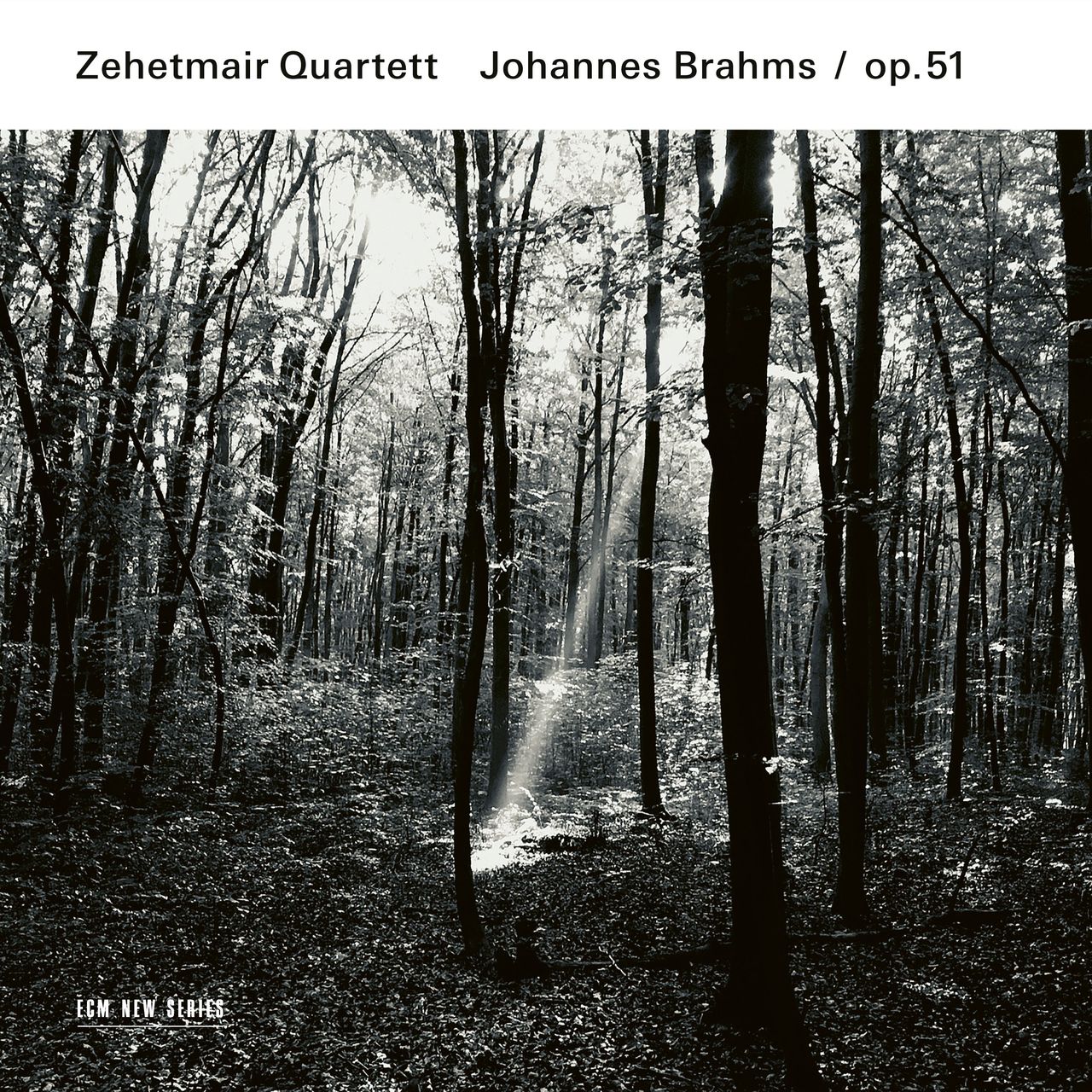 Zehetmair Quartett - Johannes Brahms / op.51