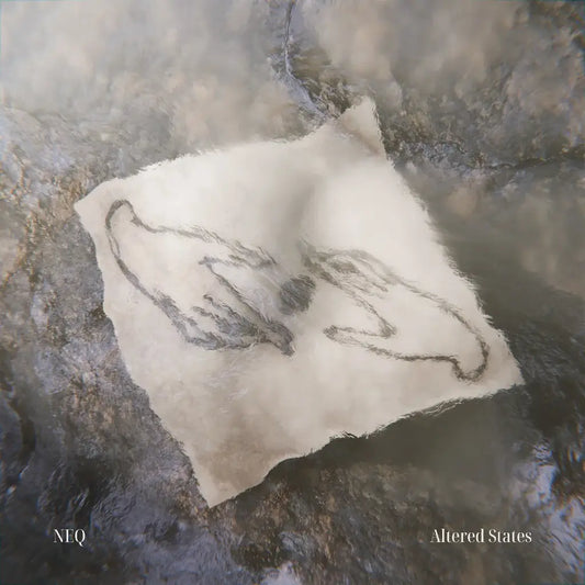 Nagy Emma Quintet - Altered States