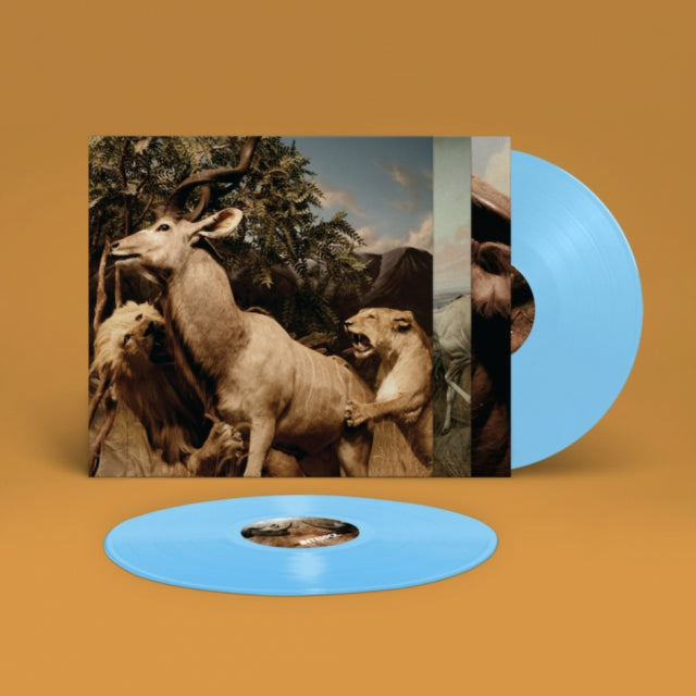 Interpol - Our Love To Admire