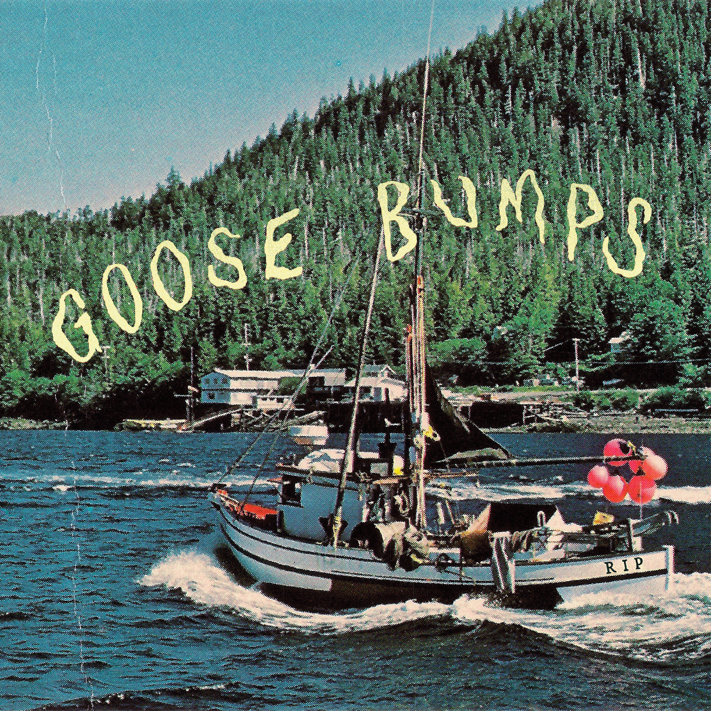 Boyscott - Goose Bumps (2026 Repress)