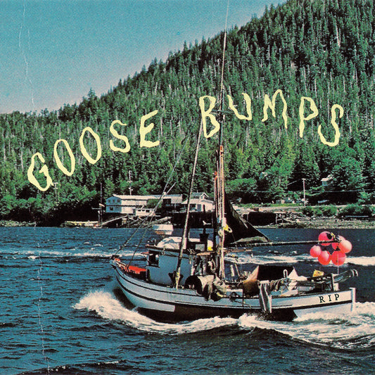 Boyscott - Goose Bumps (2026 Repress)