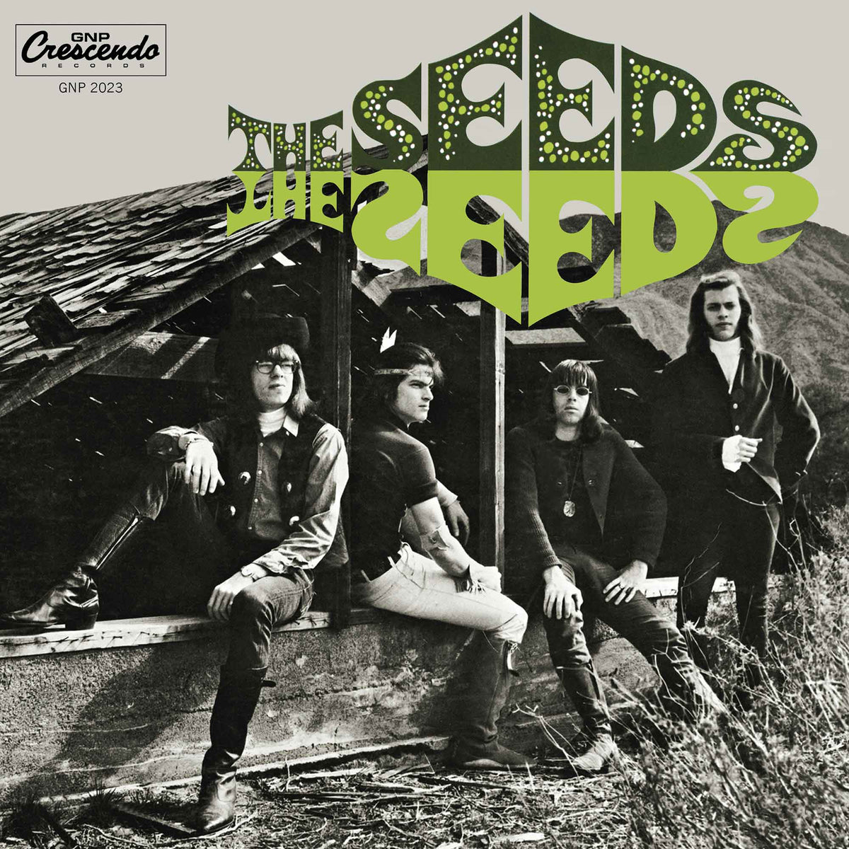 Seeds, The - The Seeds