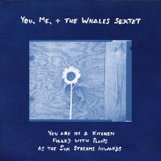 You, Me + the Whales Sextet - You are in a Kitchen Filled with Plants as the Sun Streams Inwards