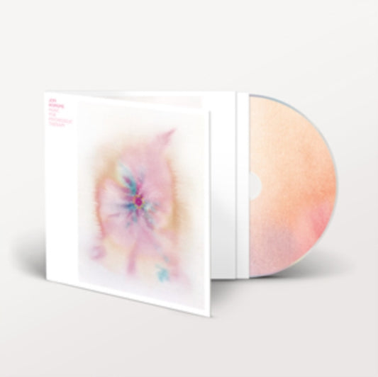 Hopkins, Jon - Music For Psychedelic Therapy