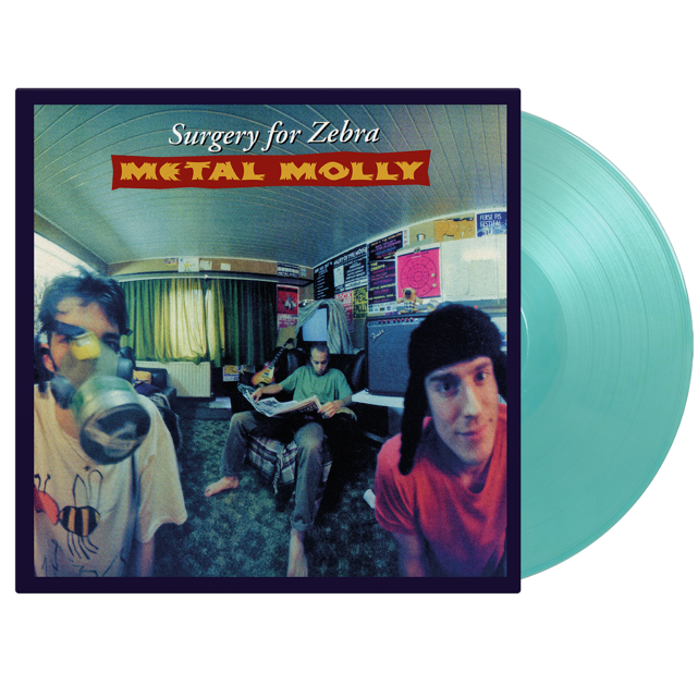 Metal Molly - Surgery For Zebra