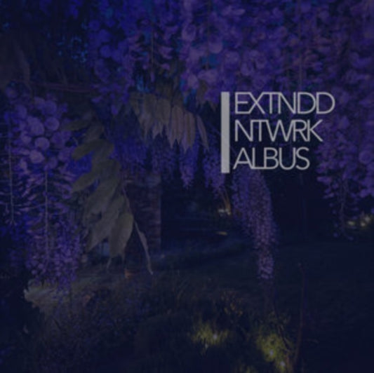 Extnddntwrk (Sleaford Mods) - Albus
