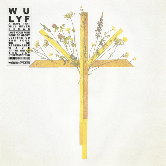 WU LYF - A Wave That Will Never Break