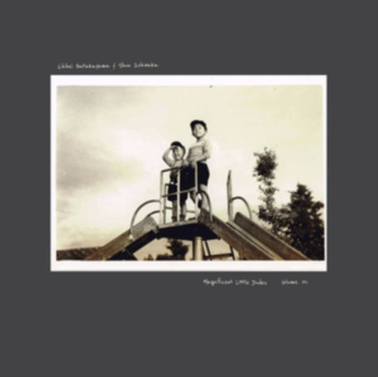 Hatakayama, Chihei & Shun Ishiwaka - Magnificent Little Dudes Vol. 1