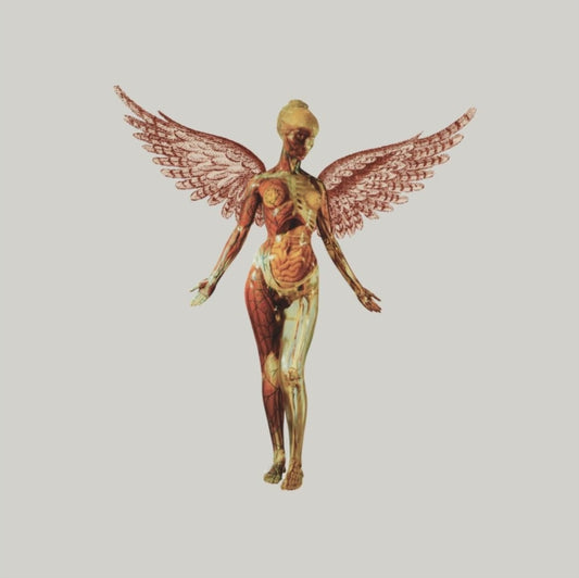 Nirvana - In Utero (30th Anniversary Edition)