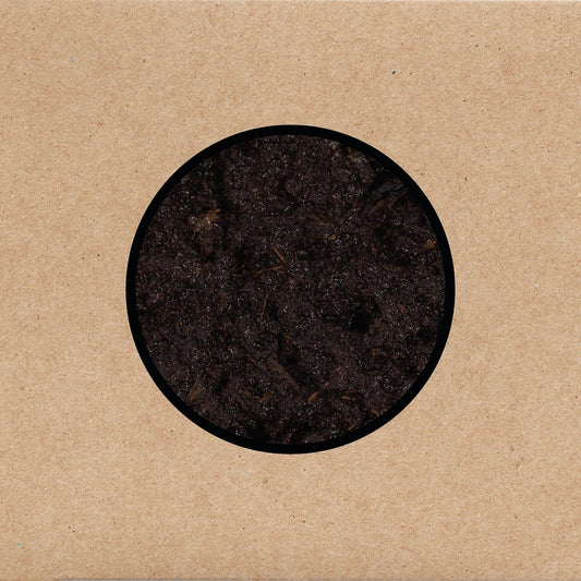 Swans - Birthing