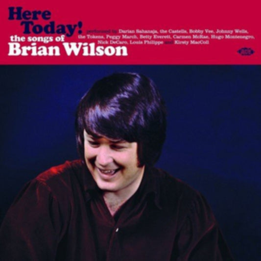 Here Today! The Songs Of Brian Wilson - Here Today! The Songs Of Brian Wilson