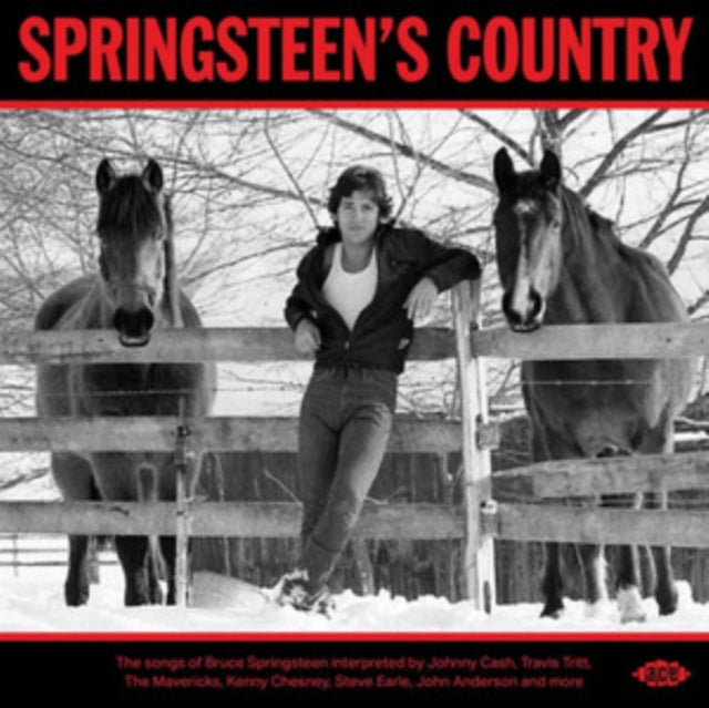Springsteen's Country - Various Artists