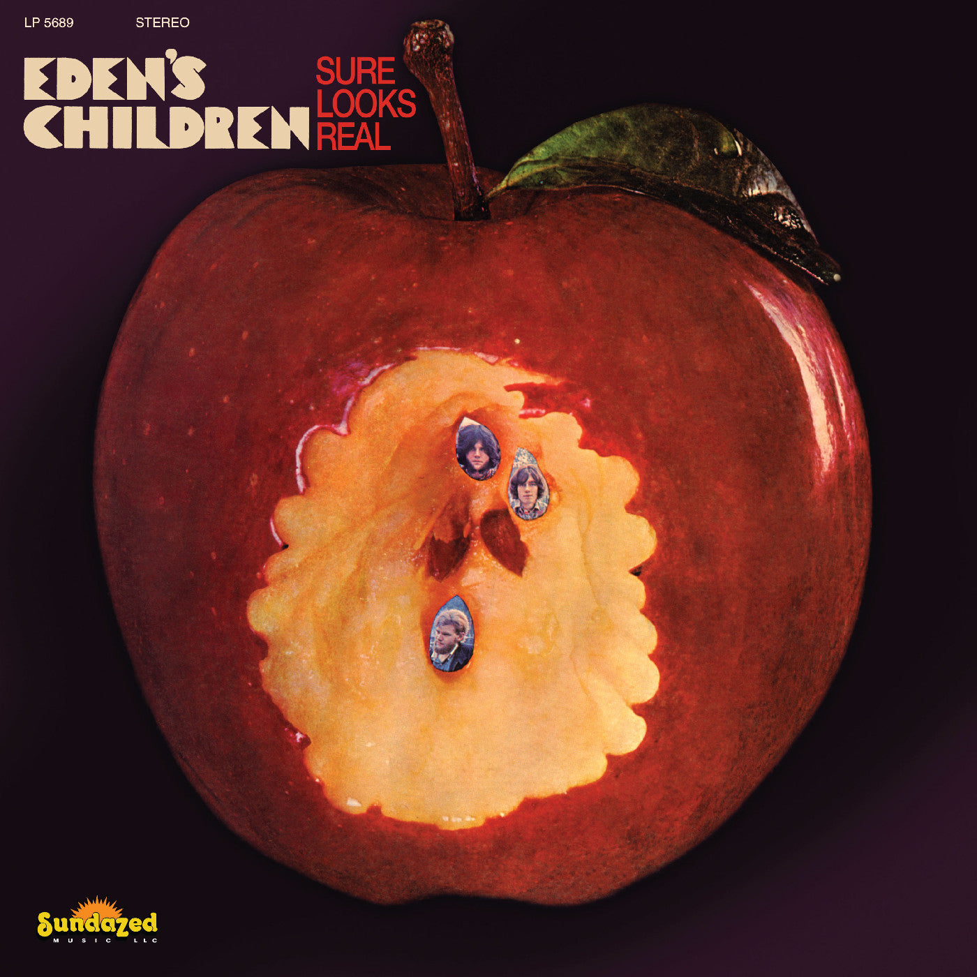Eden's Children - Sure Looks Real (2026 Reissue)