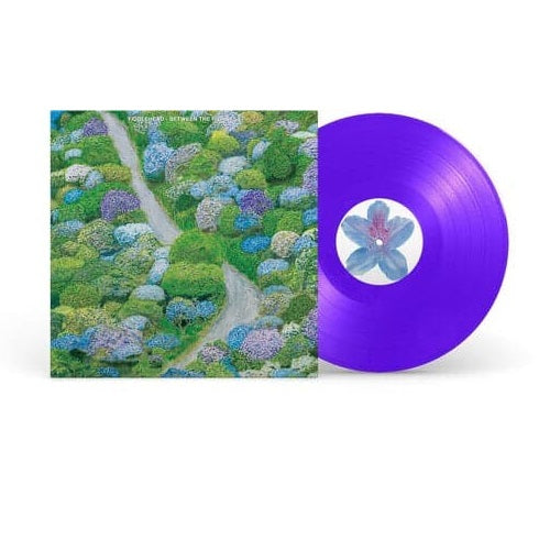 Fiddlehead - Between The Richness