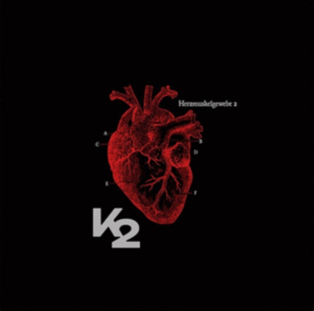 K2 - Herzmuskelgewebe