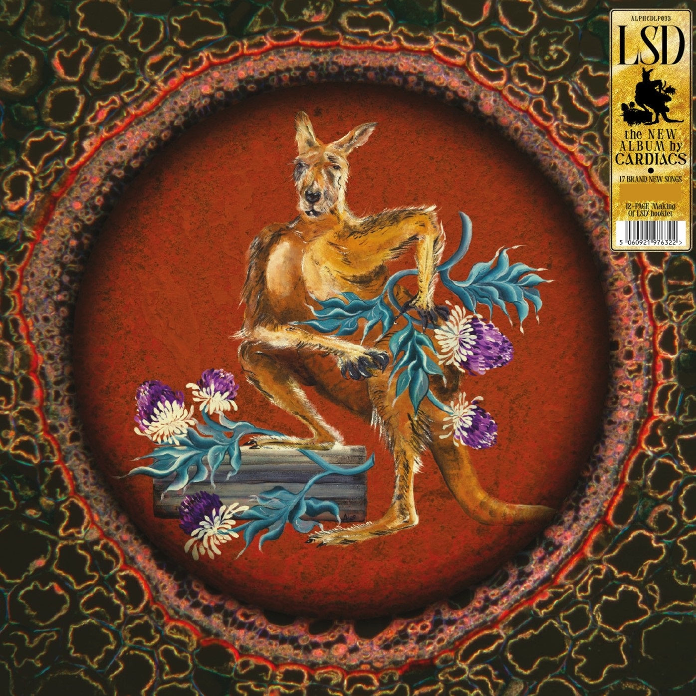 Cardiacs - LSD