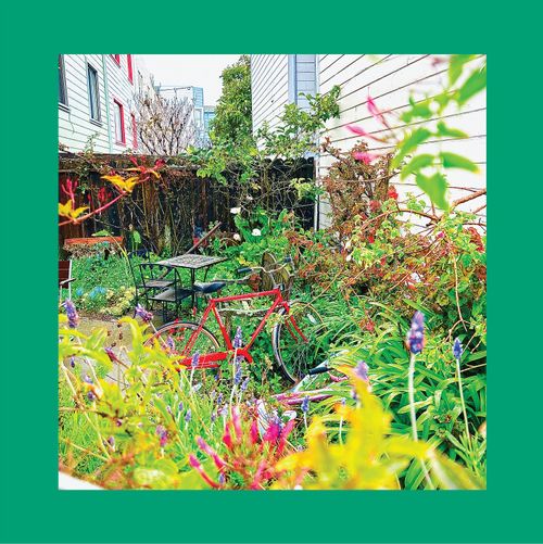 Reds, Pinks And Purples, The - Unwishing Well
