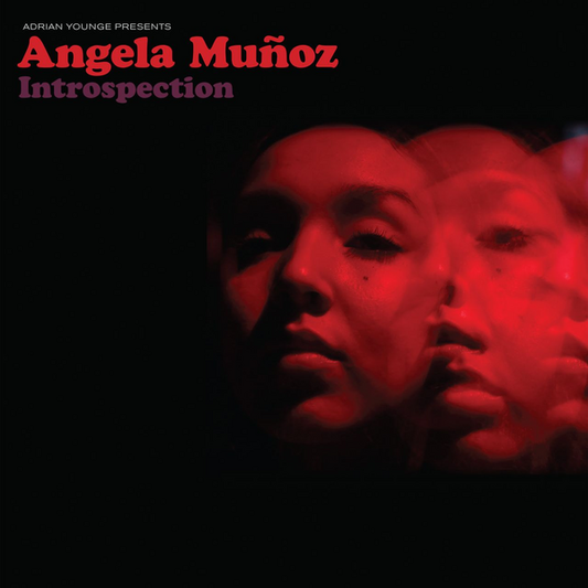 Munoz, Angela & Adrian Younge - Adrian Younge Presents: Angela Muñoz