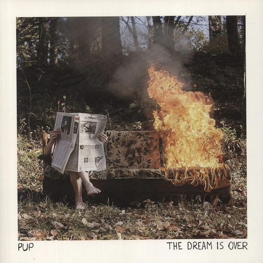 Pup - The Dream Is Over