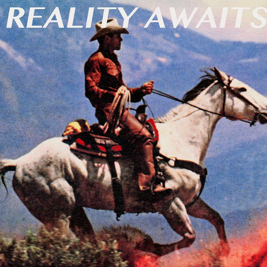 Strokes, The - Reality Awaits