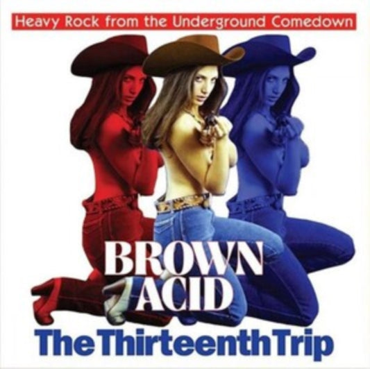 Brown Acid: The Thirteenth Trip - Various
