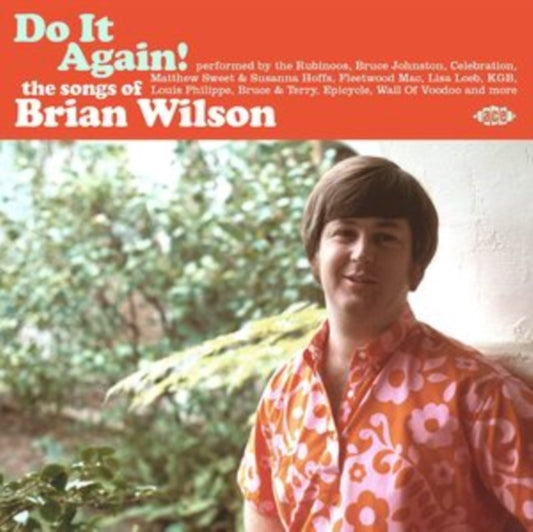 Do It Again! The Songs Of Brian Wilson - Various Artists