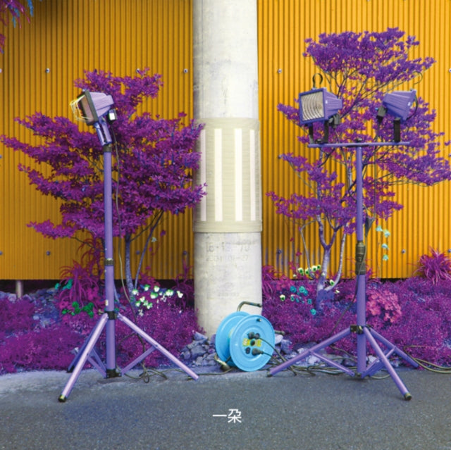 Ishibashi, Eiko And Darin Grey - Ichida (2025 Repress)
