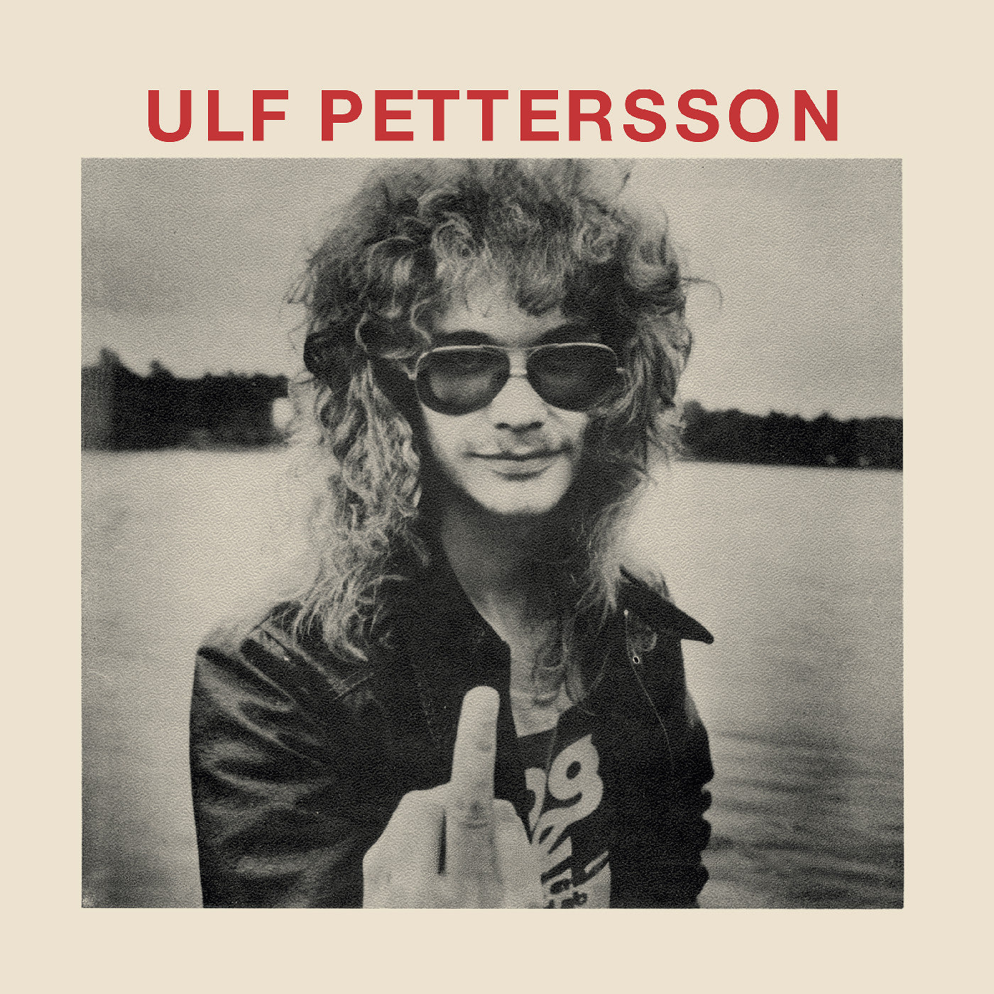 Pettersson, Ulf - Schizo