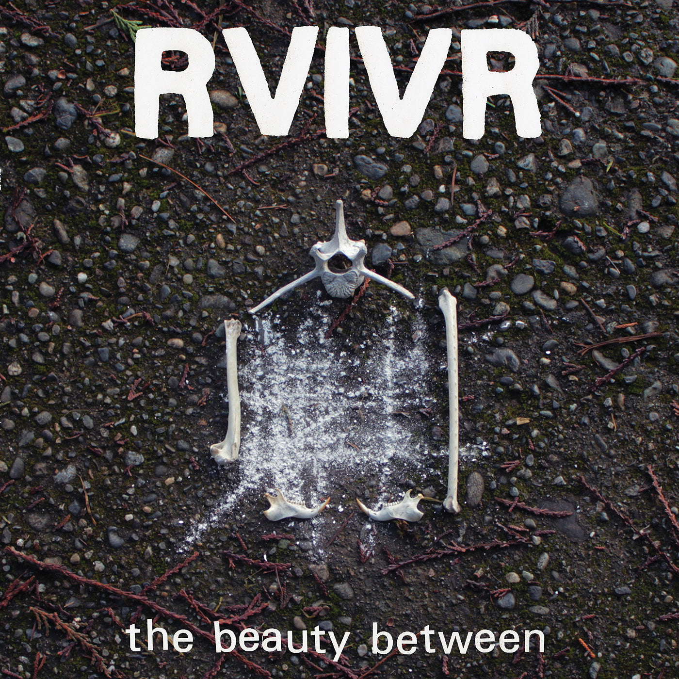 RVIVR - The Beauty Between