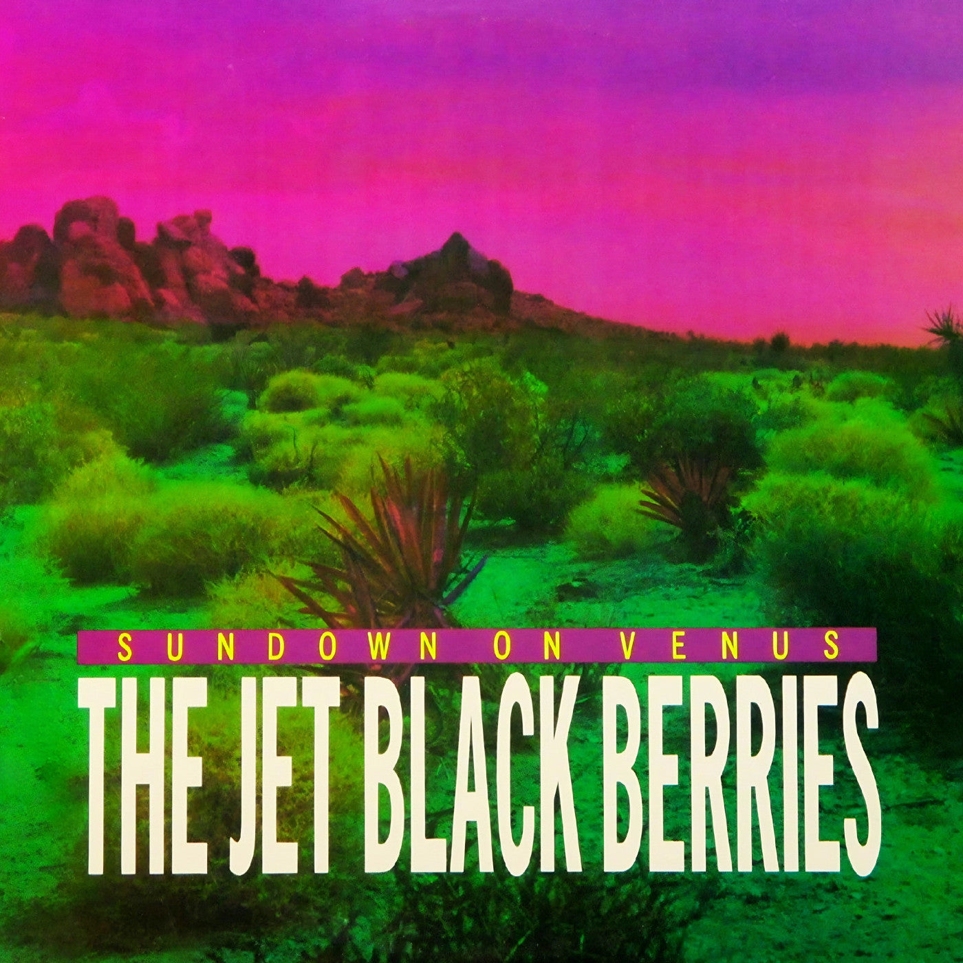 Jet Black Berries, The - Sundown on Venus (Definitive Edition)