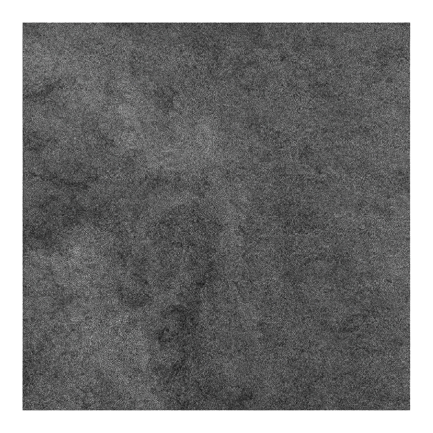 Body, The & Cel Genesis - Whole Wide World