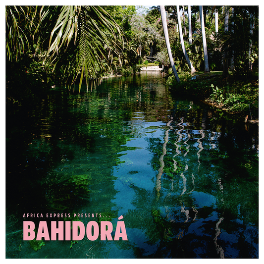 Africa Express - Bahidora