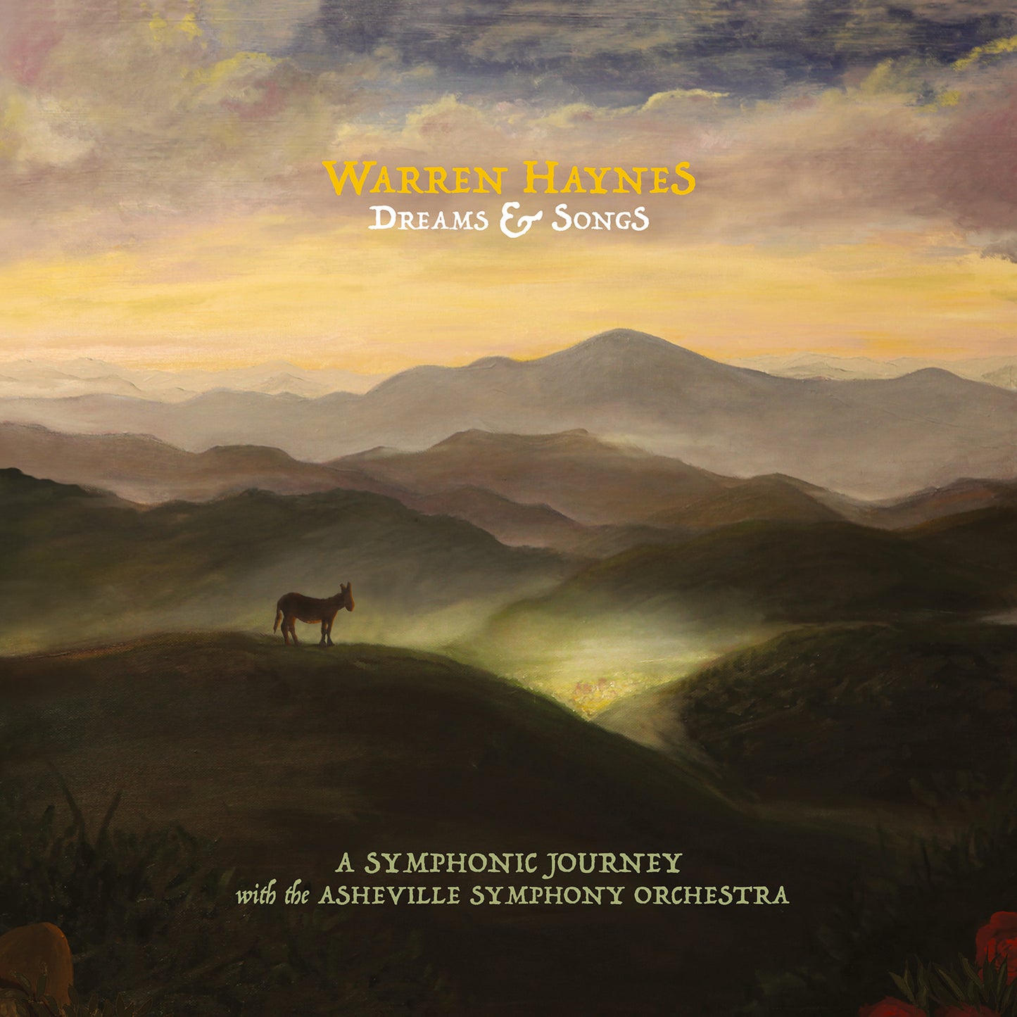 Haynes, Warren - Dreams & Songs