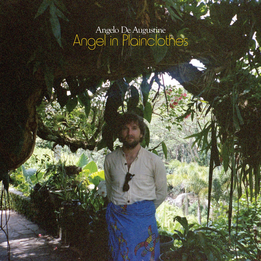 De Augustine, Angelo - Angel in Plainclothes