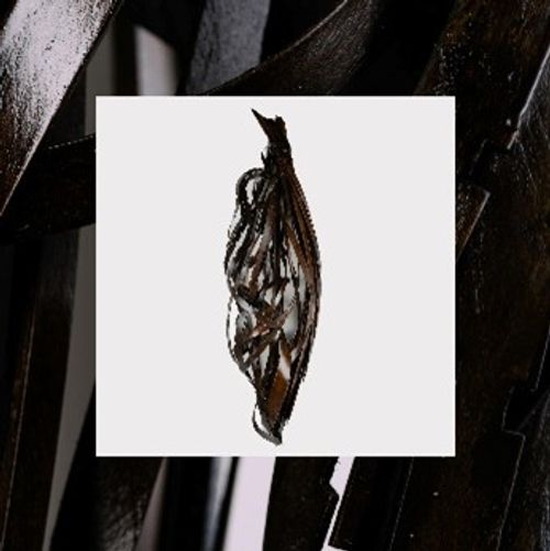 Into It. Over It. - Interesting Decisions