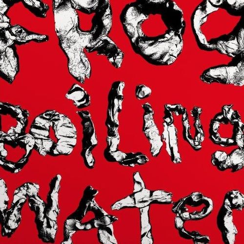 Diiv - Frog In Boiling Water