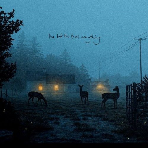 Kennedy, Dermot - Ive Told The Trees Everything