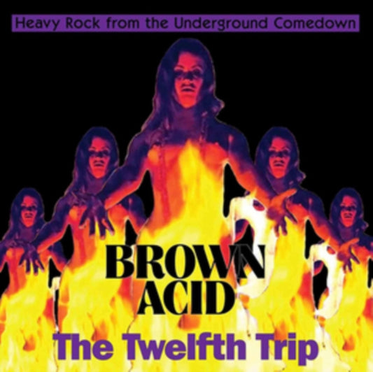 Brown Acid: The Twelfth Trip - Various Artists