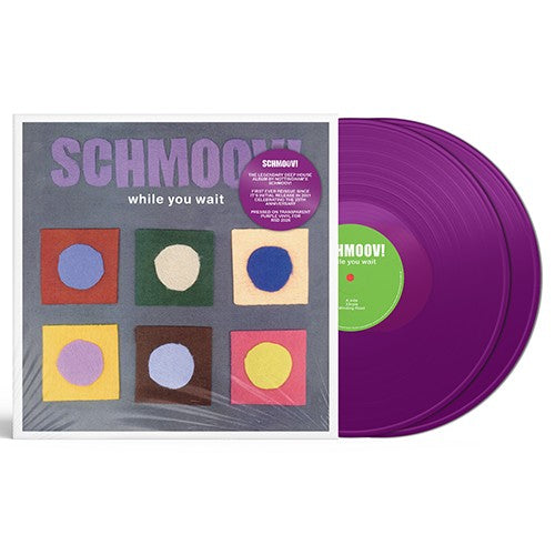Schmoov! - While You Wait (25th Anniversary | RSD 2026)