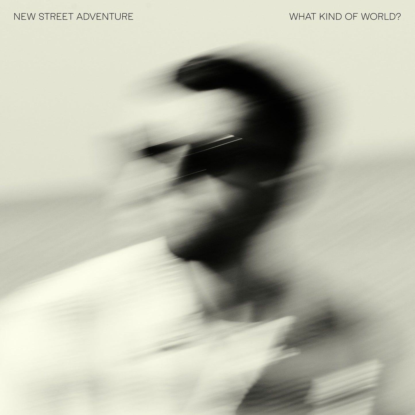 New Street Adventure - What Kind Of World?