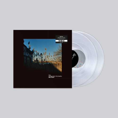 Cinematic Orchestra, The - Ma Fleur