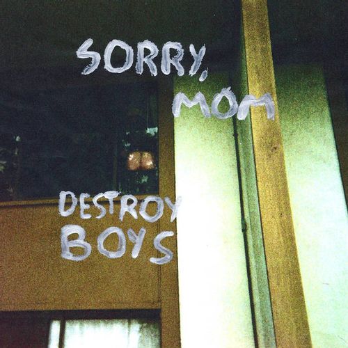 Destroy Boys - Sorry, Mom (First Time On Vinyl!)