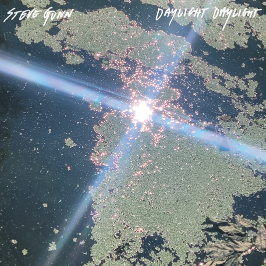 Gunn, Steve - Daylight Daylight
