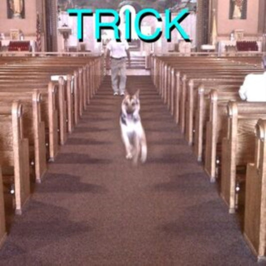 Alex G - Trick