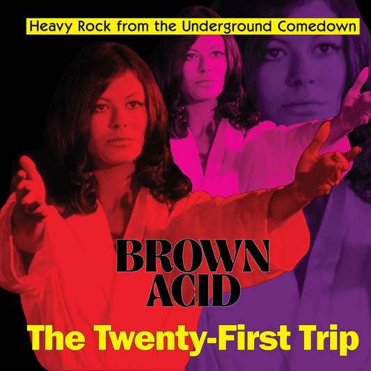 Brown Acid: The Twenty-First Trip - Various Artists