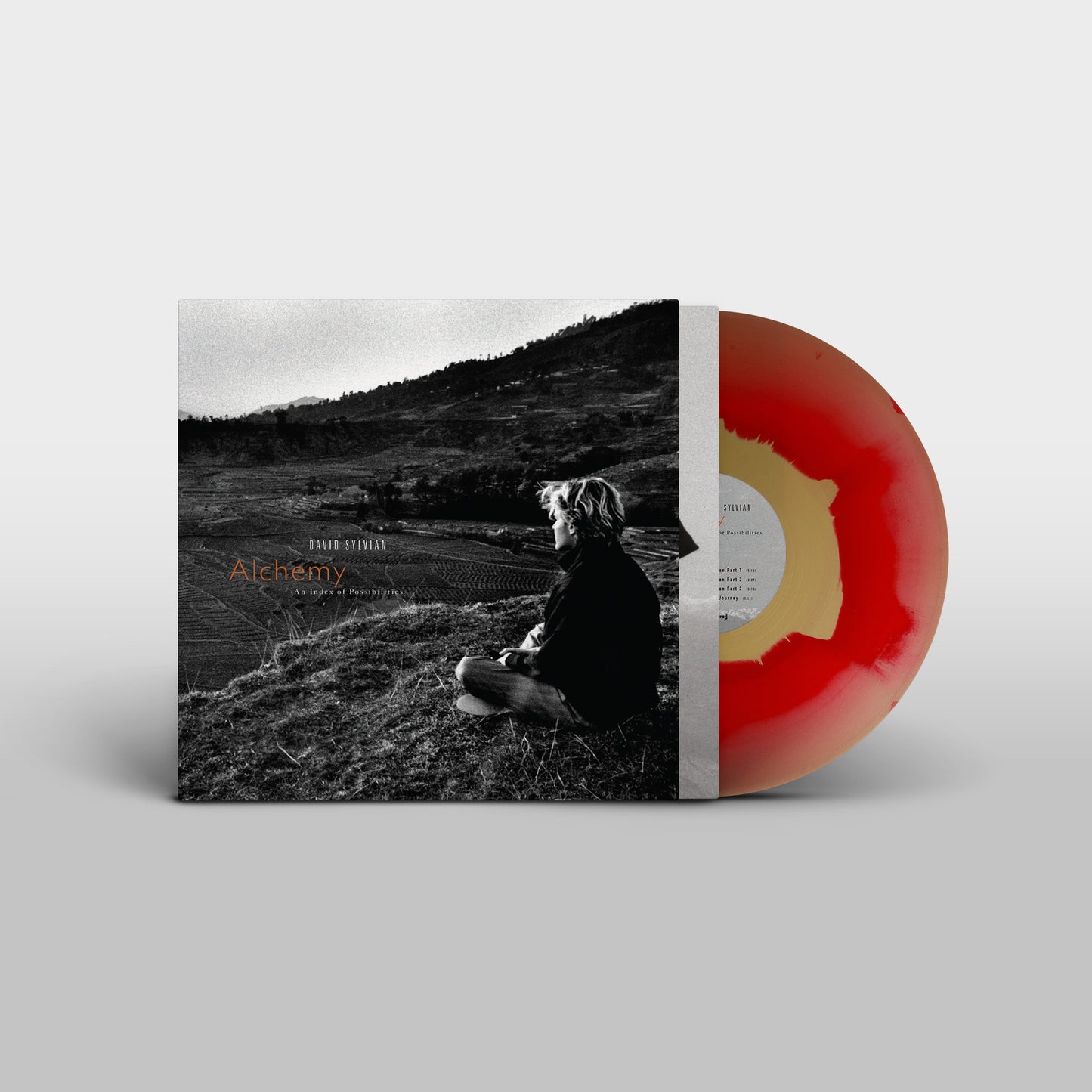 Sylvian, David - Alchemy: An Index Of Possibilities (2025 Reissue)