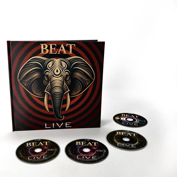 Beat, The - Live