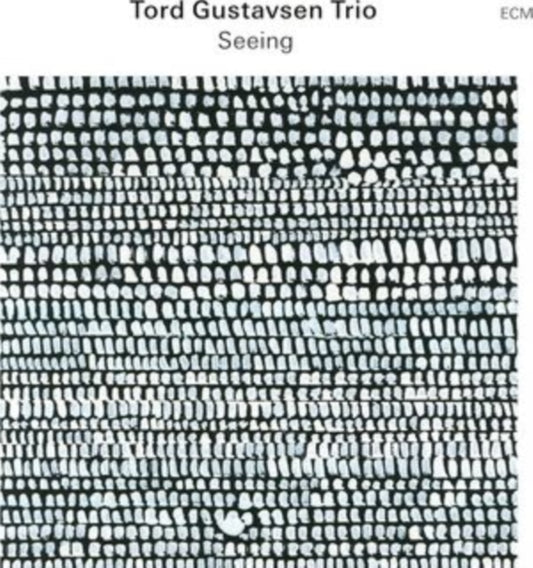Gustavsen Trio, Tord - Seeing